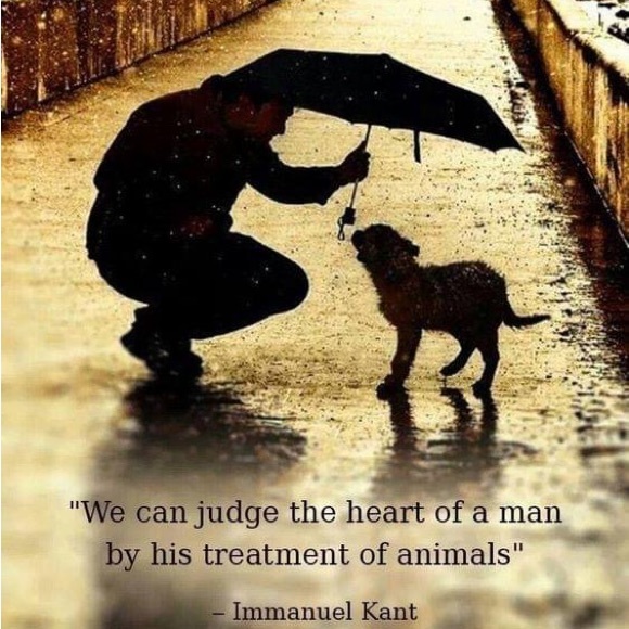 Meet your Posher, Jenny and Andrew - Picture 3 of 11